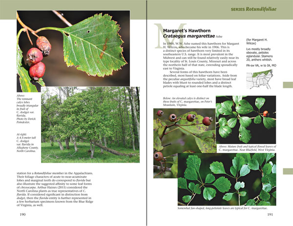 Haws - A Guide to Hawthorns of the Southeastern United States by Ron Lance