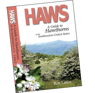Haws - A Guide to Hawthorns of the Southeastern United States by Ron Lance