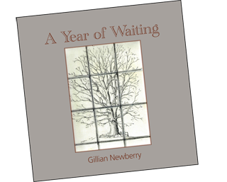 A Year of Waiting by Gill Newberry
