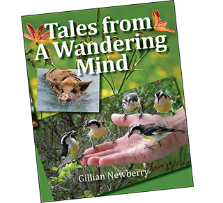 Tales from a Wandering Mind by Gill Newberry