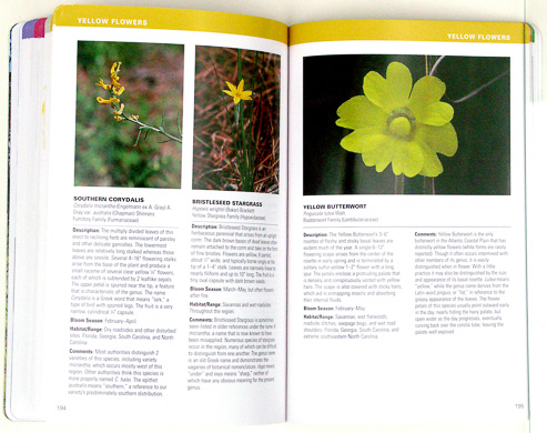page from Atlantic Coastal Plain Wildflowers by Gil Nelson