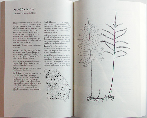 page from Field Guide to the Ferns and Other Pteridophytes of Georgia by Lloyd H. Snyder, Jr., and James G. Brucee