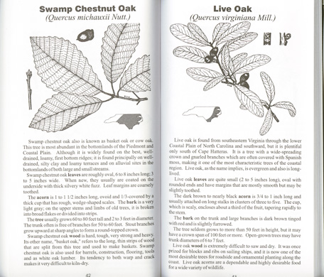 page from Common Forest Trees of North Carolina: How to Know Them