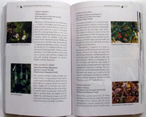 page from Gardening         with the Native Plants of Tennessee: the Spirit of Place by Margie Hunter