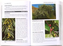 page from Invasive Plants: Guide to the Identification and the Impacts and Control of Common North American Species by Sylvan Ramsey Kaufman with Wallace Kaufman