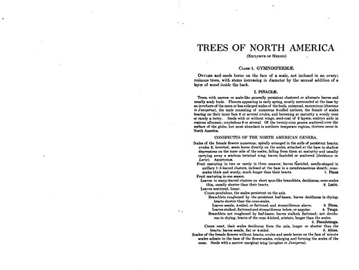 page from Manual of the Trees of North America by Charles Sprague Sargent