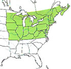 coverage map Peterson Field Guide to Ferns of Northeastern and Central North America