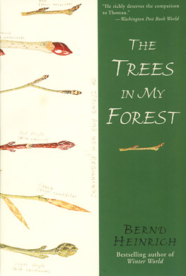 bookcover The Trees in My Forest by Bernd Heinrich