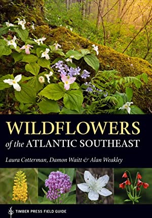 bookcover Wildflowers of the Atlantic Southeast by Laura Cotterman, Damon Waitt, and Alan Weakley