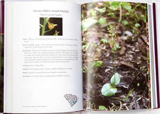 page from Wild Orchids of South Carolina: A Popular Natural History by Jim Fowler