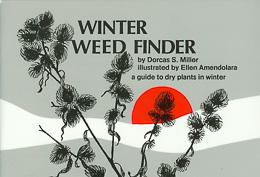 bookcover Winter Weed Finder by Dorcas S. Miller