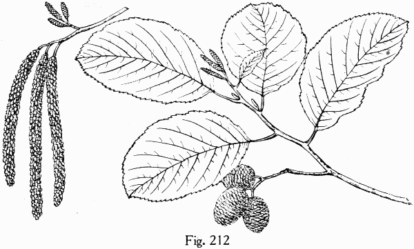 Fig. 212