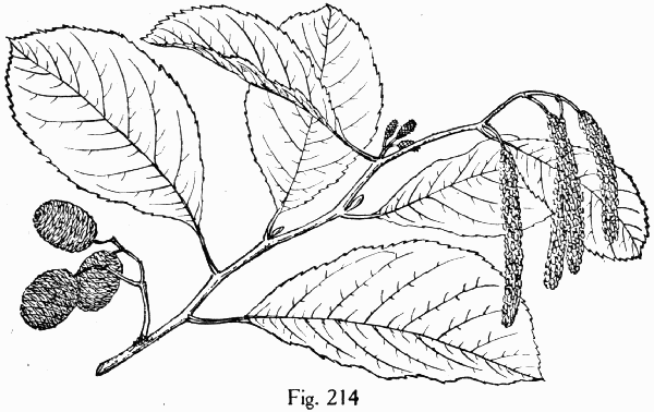 Fig. 214