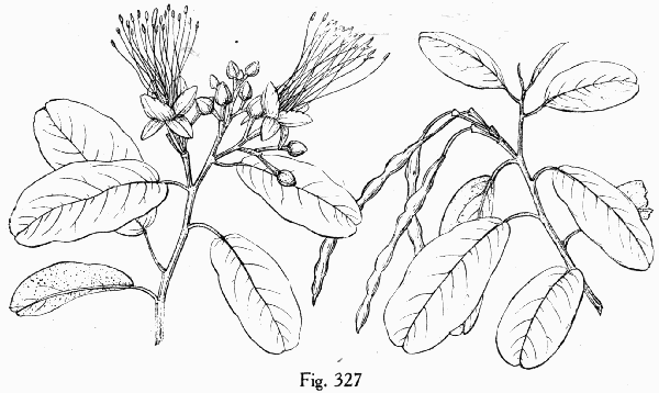 Fig. 327