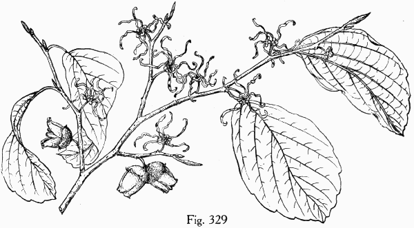 Fig. 329