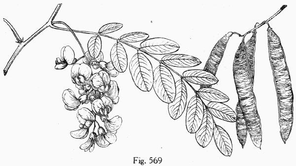 Fig. 569