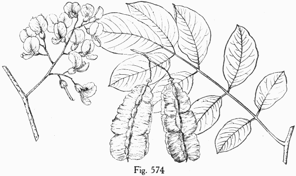 Fig. 574