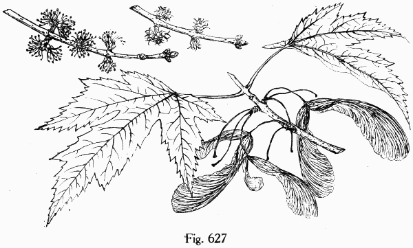 Fig. 627