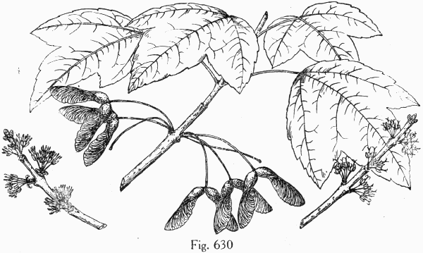 Fig. 630