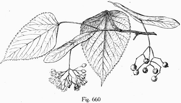 Fig. 660