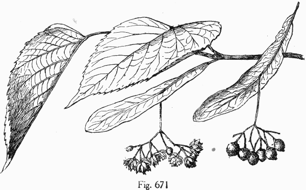 Fig. 671