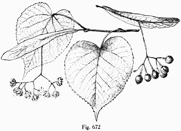 Fig. 672