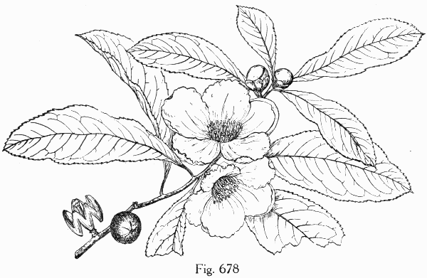 Fig. 678