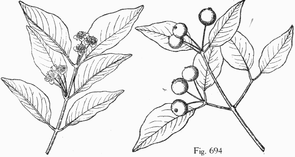 Fig. 694