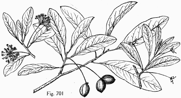 Fig. 701