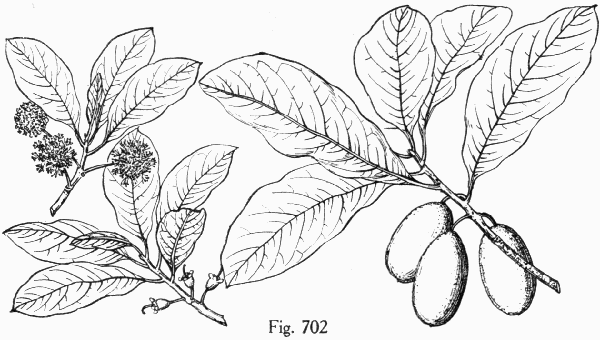Fig. 702