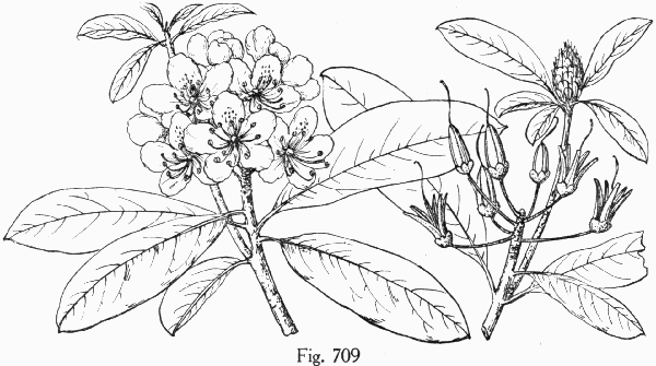 Fig. 709