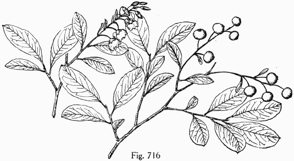 Fig. 716