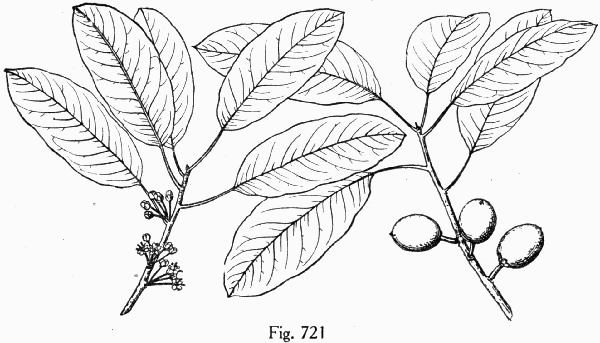 Fig. 721
