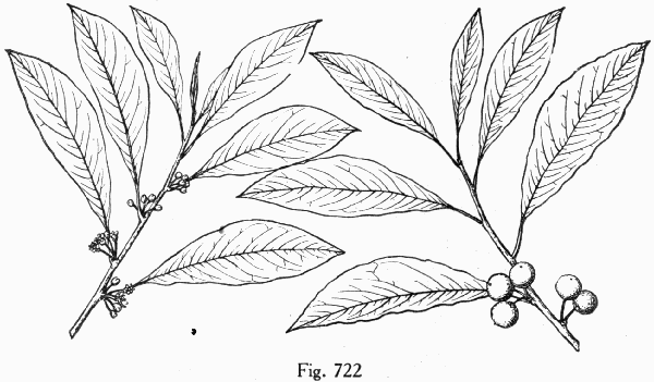 Fig. 722