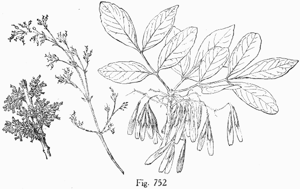 Fig. 752