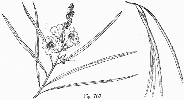Fig. 767